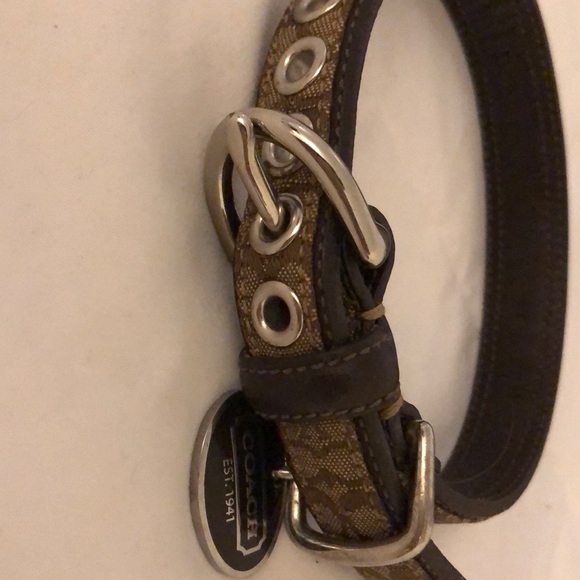 Coach dog collar